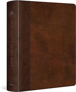 ESV Journaling Study Bible (Trutone, Brown/Chestnut, Timeless Design)