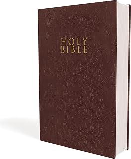 NIV Gift And Award Bible Red Letter Edition [Burgundy] - Luxe Regalia