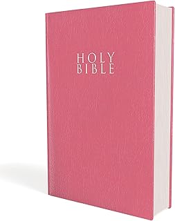 NIV Gift And Award Bible Red Letter Edition [Pink] - Luxe Regalia