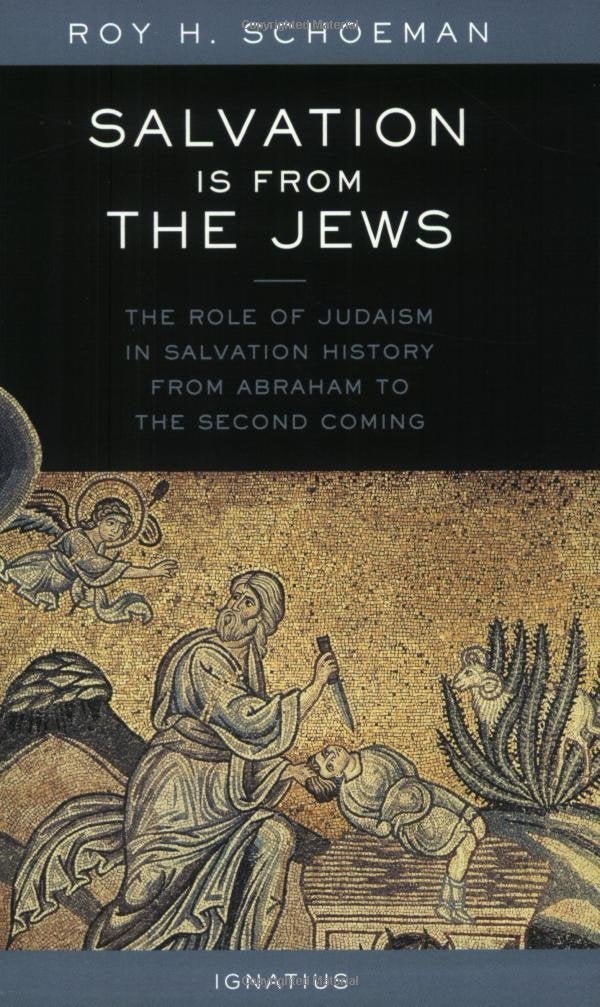Salvation Is from the Jews: The Role of Judaism in Salvation History from Abraham to the Second Coming Paperback - Luxe Regalia