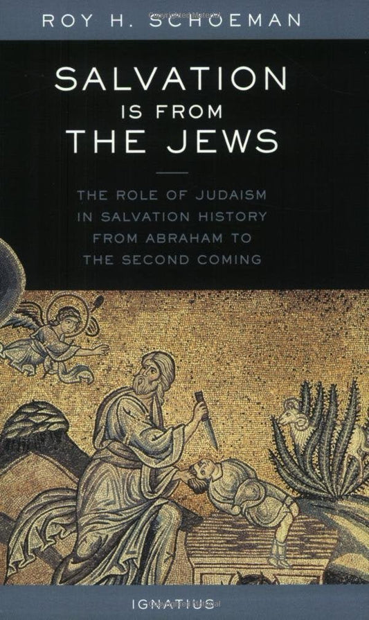 Salvation Is from the Jews: The Role of Judaism in Salvation History from Abraham to the Second Coming Paperback - Luxe Regalia