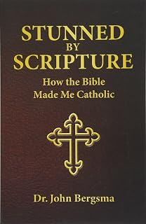 Stunned by Scripture: How the Bible Made Me Catholic - Luxe Regalia