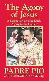 The Agony of Jesus: In the Garden of Gethsemane - Luxe Regalia